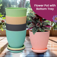 A plant thriving in a black plastic flower pot, ideal for both indoor and outdoor settings.