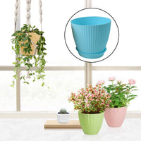 Various plants thriving in the stylish plastic flower pot set, arranged in an indoor setting.