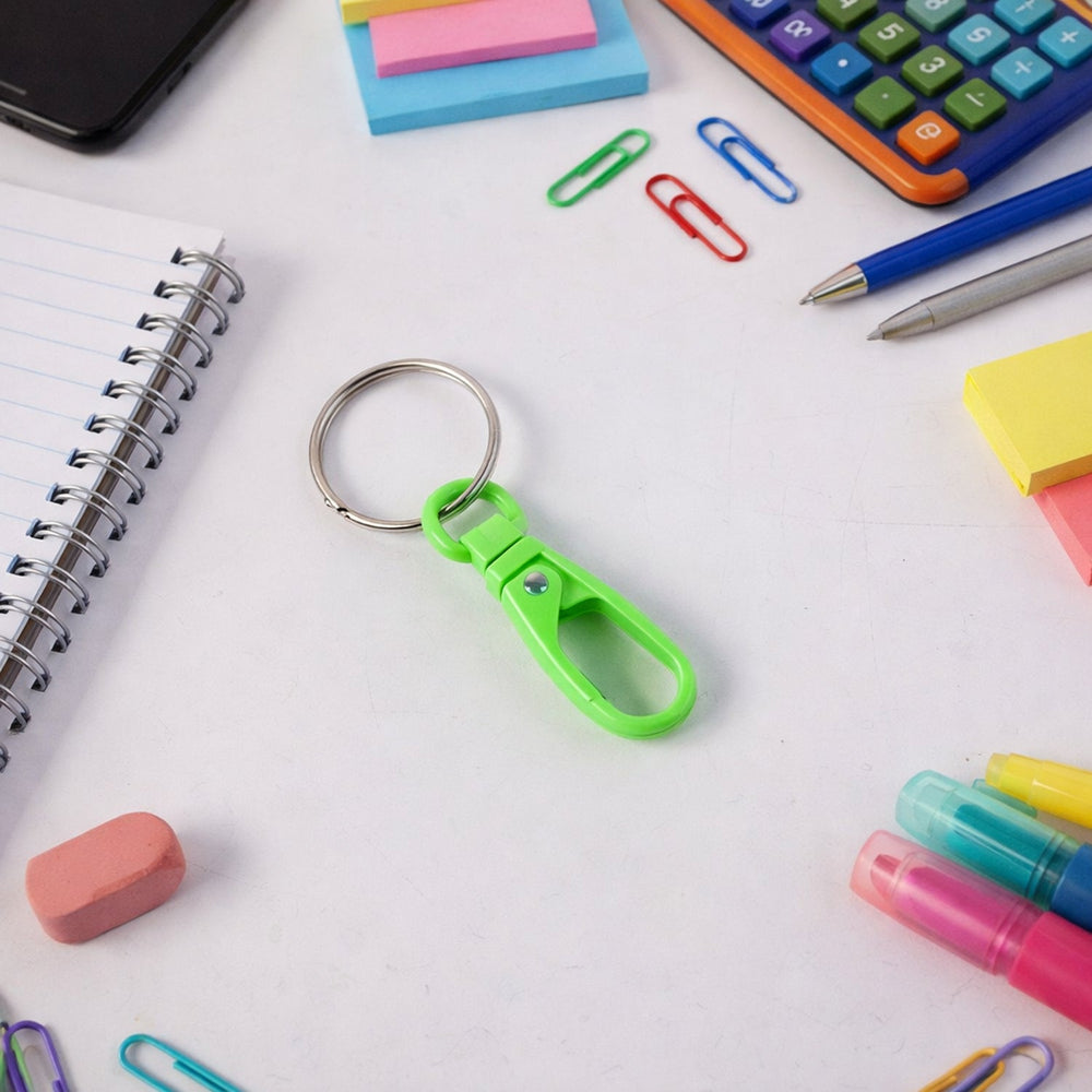 Mini Plastic Carabiner Keychain Home Organization Storage Solution
