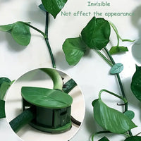 Self-adhesive plant climbing clips blending with green vines on a wall.