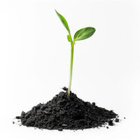 Natural organic vermicompost, providing essential nutrients for thriving plants.
