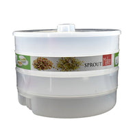 Sprout Maker 4 Layer filled with fresh, green sprouts, ready for consumption.