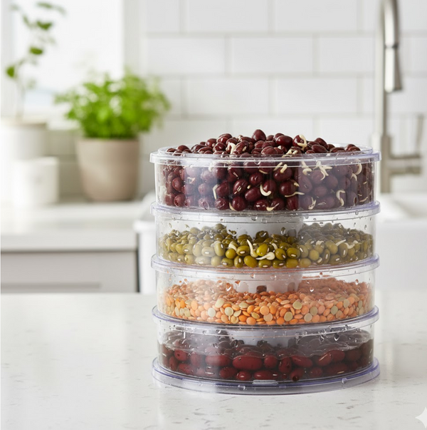 Sprout Maker 4 Layer – Healthy Sprouts at Home | Storenzo