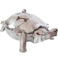 Tortoise Dry Fruit Box Multipurpose Storage Organizer Container