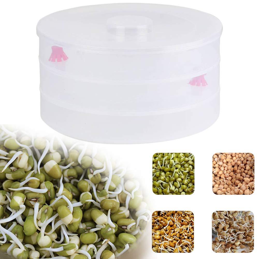 3 Compartment Sprout Maker Home Organization Storage Solution