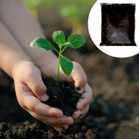 Organic Vermicompost Home Organization Storage Solution Storage