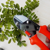 Garden Scissors Home Organization Storage Solution Storage