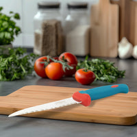Detailed closeup of the stainless steel paring knife blade