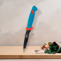 Stainless Steel Paring Knife Kitchen Storage Organizer Solution